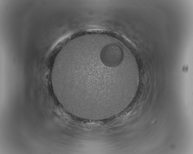 X0000090861351200708101211