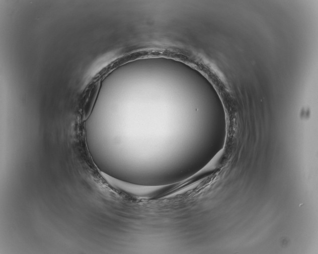 X0000090861352200708101211