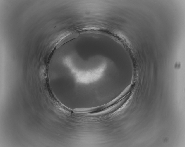 X0000090861353200708101211