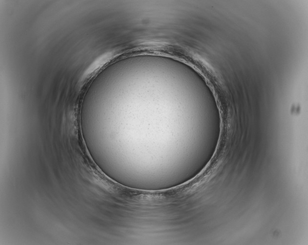 X0000090861354200708101211