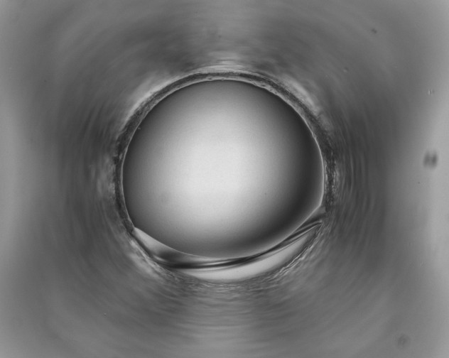 X0000090861356200708101211