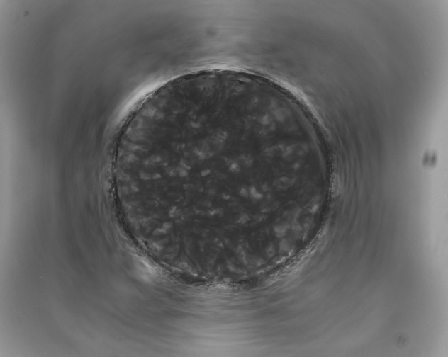 X0000090861359200708101211