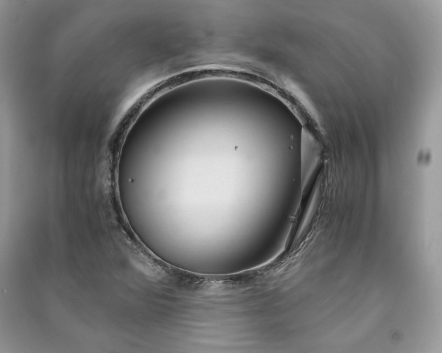 X0000090861360200708101211