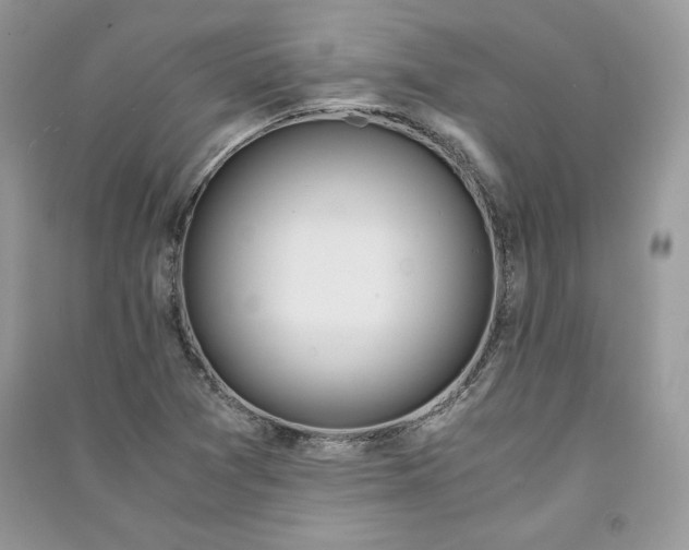 X0000090861361200708101211