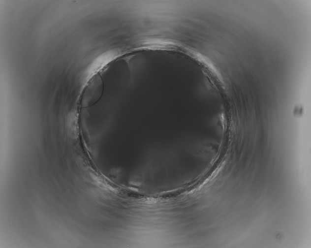 X0000090861362200708101211