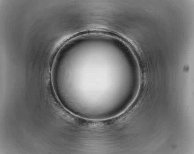 X0000090861363200708101211