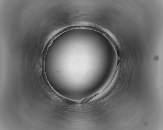 X0000090861364200708101211