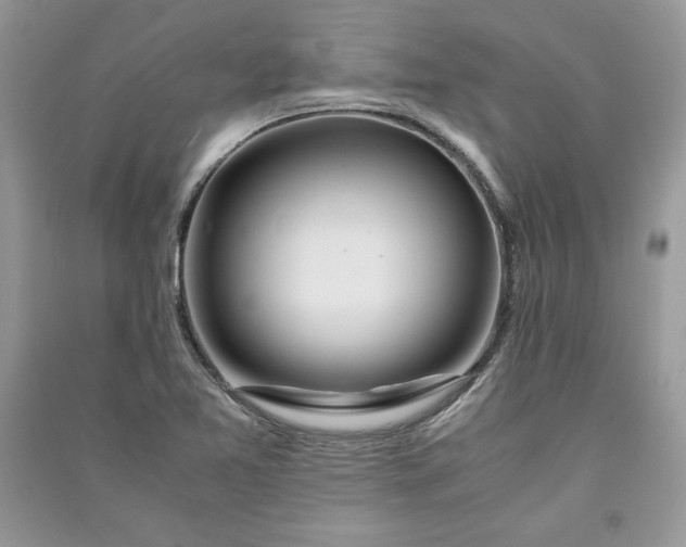 X0000090861365200708101210