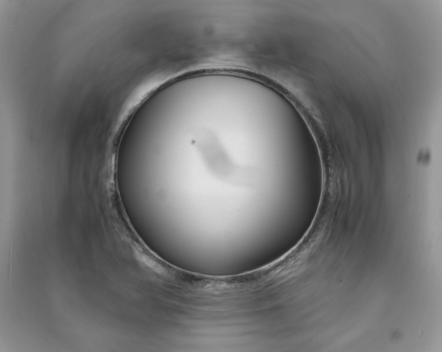 X0000090861366200708101210