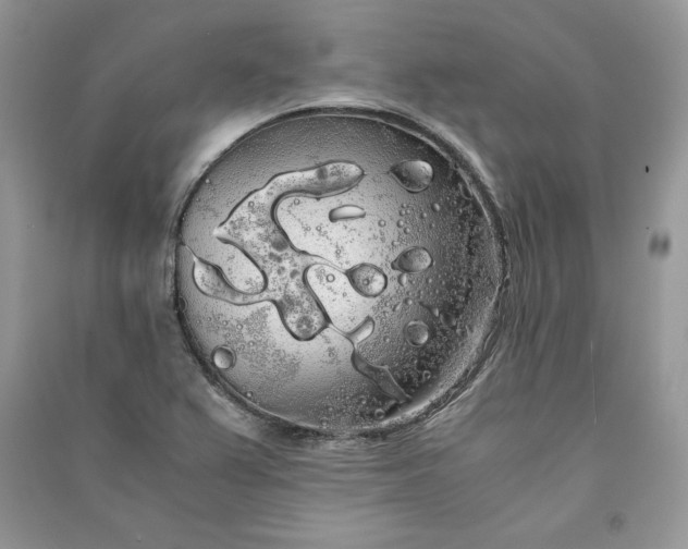 X0000090861367200708101210