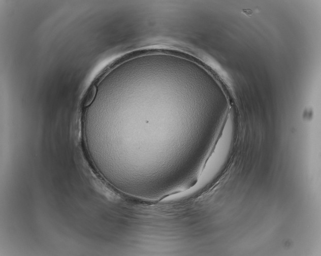 X0000090861368200708101210