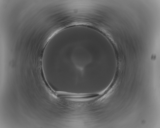 X0000090861369200708101210