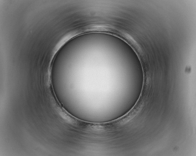 X0000090861370200708101210