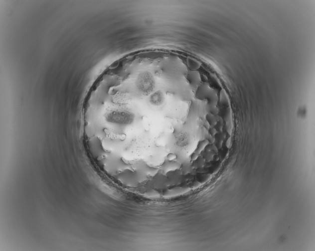 X0000090861371200708101210