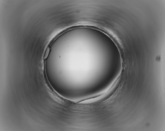 X0000090861372200708101210