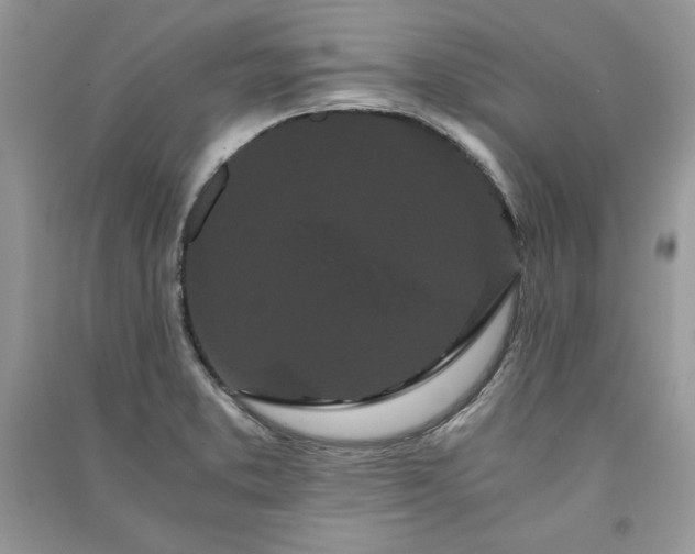 X0000090861373200708101210