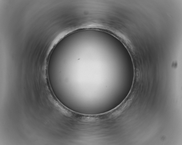 X0000090861374200708101210