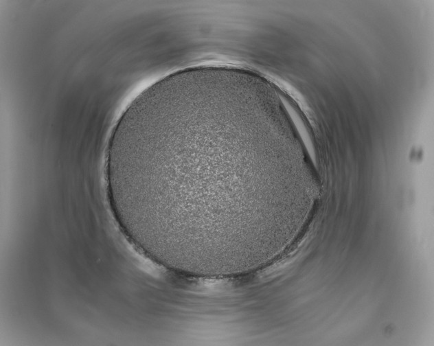 X0000090861375200708101210