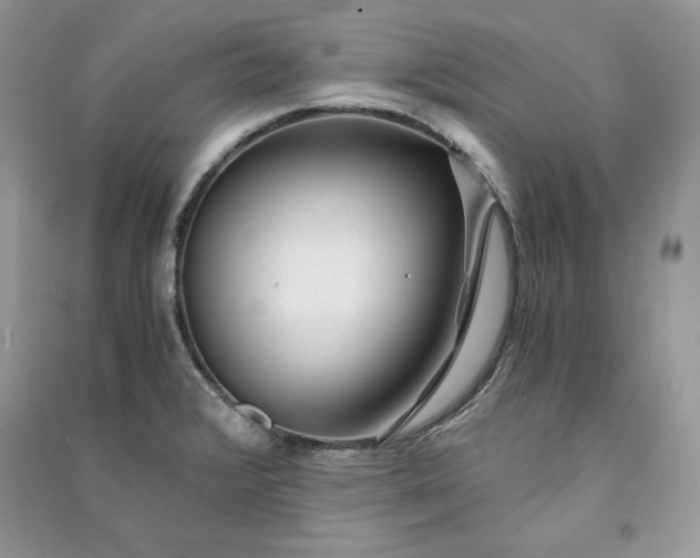 X0000090861376200708101210