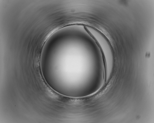 X0000090861377200708101210