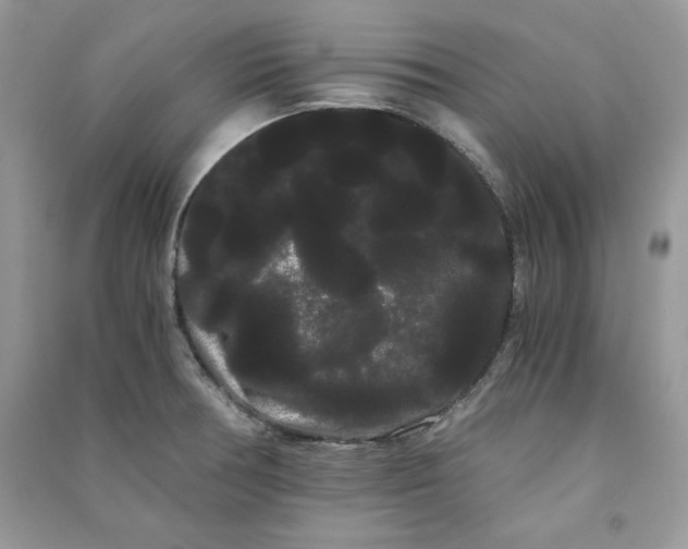 X0000090861378200708101210