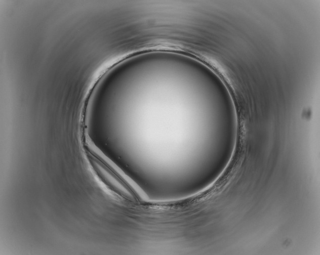 X0000090861379200708101210