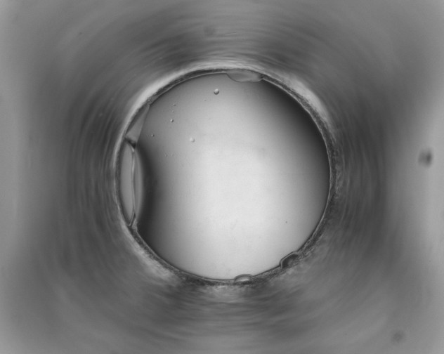 X0000090861380200708101210