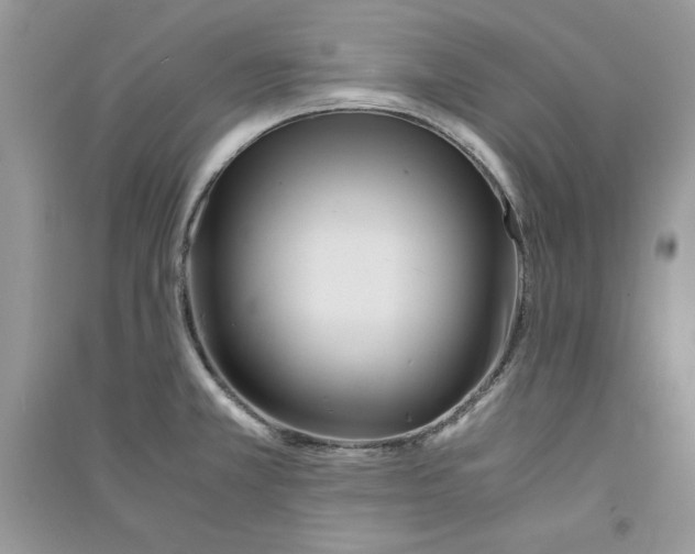 X0000090861381200708101210