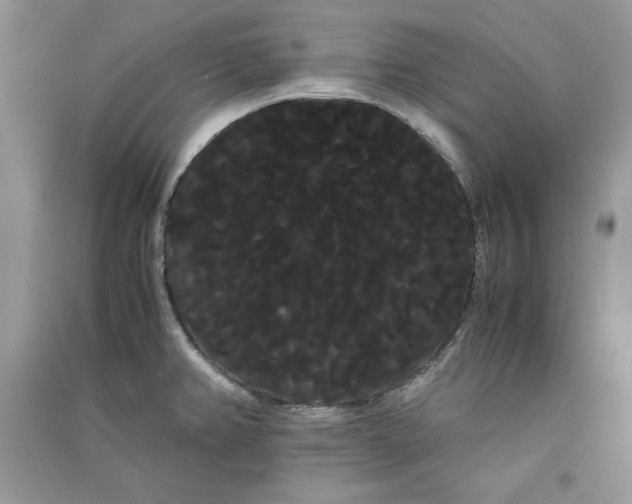 X0000090861382200708101210