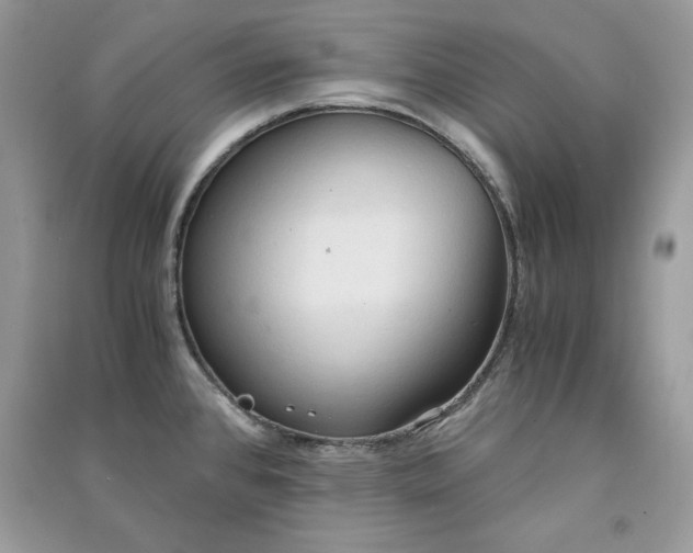 X0000090861384200708101210