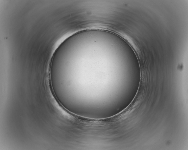 X0000090861387200708101210