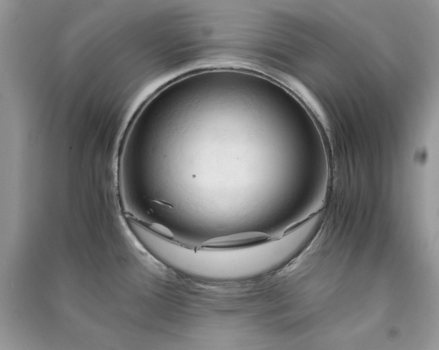 X0000090861388200708101210