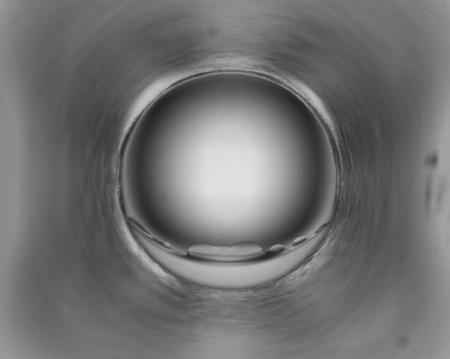 X0000090861389200708101210