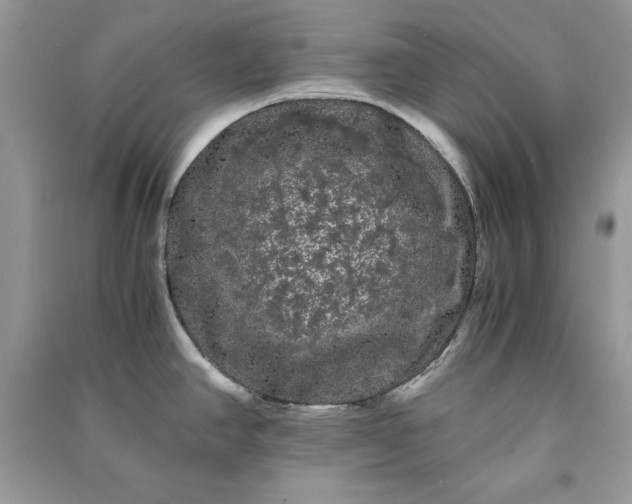 X0000090861390200708101210