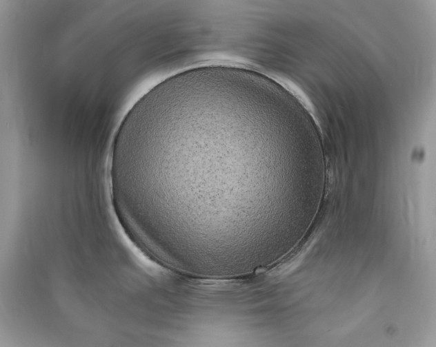 X0000090861391200708101210