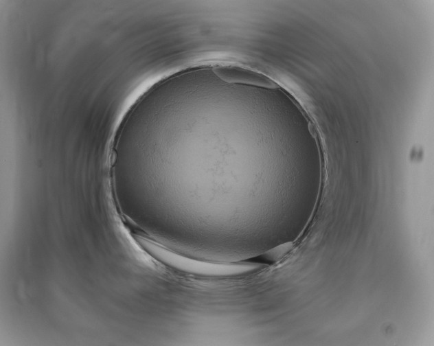 X0000090861392200708101210