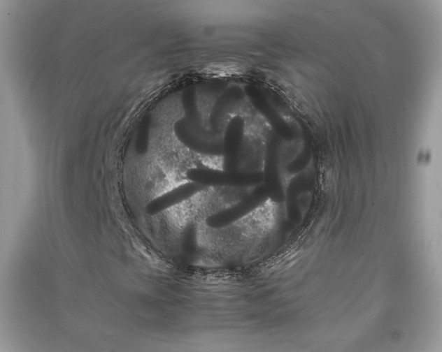 X0000090861393200708101210