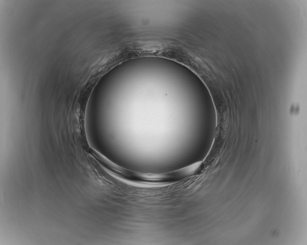 X0000090861394200708101210