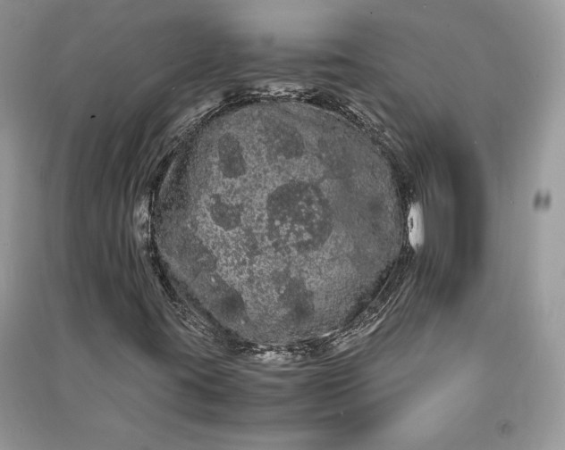 X0000090861395200708101210