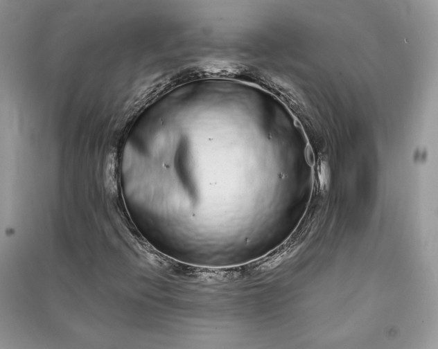 X0000090861396200708101210