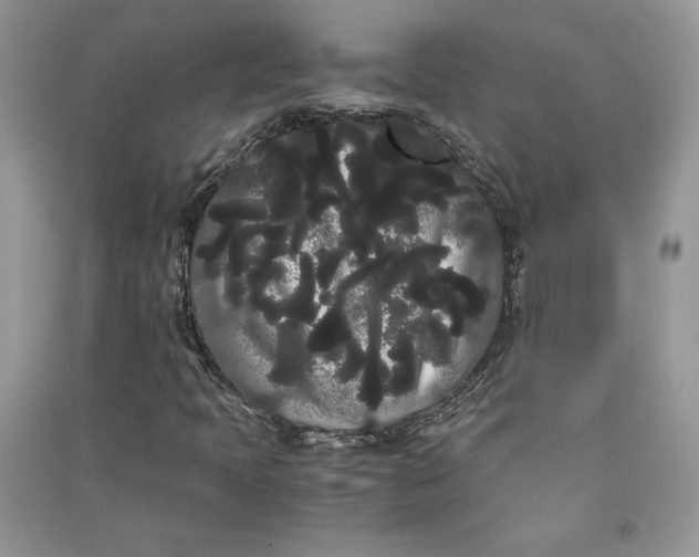 X0000090861397200708101210