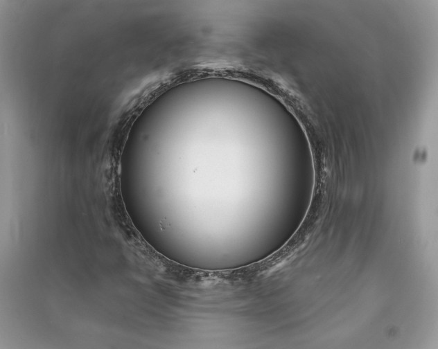 X0000090861398200708101210