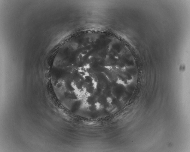 X0000090861399200708101210