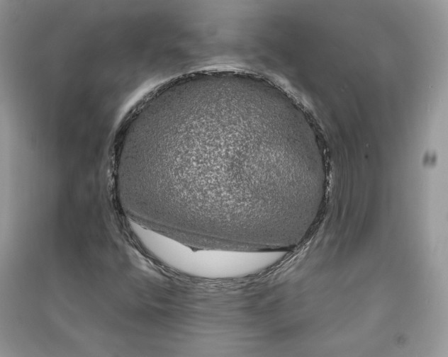 X0000090861400200708101210