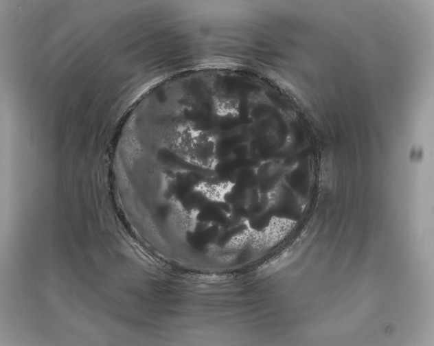 X0000090861401200708101210