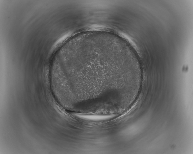 X0000090861403200708101210