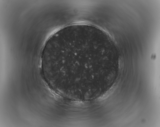 X0000090861405200708101210