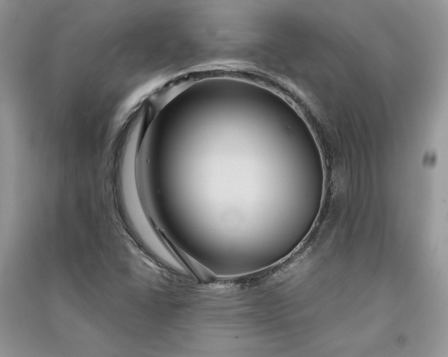 X0000090861406200708101210