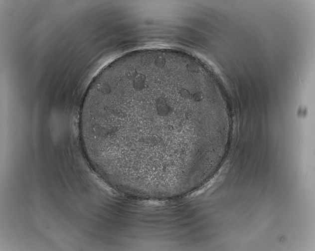 X0000090861409200708101210