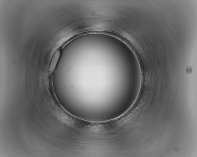 X0000090861410200708101210